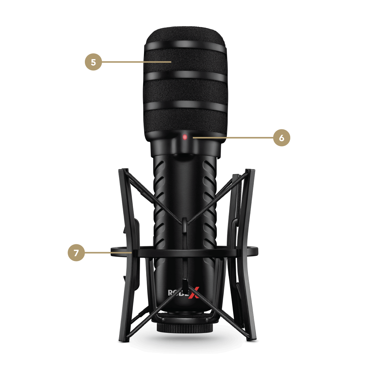 XDM-100 back feature points